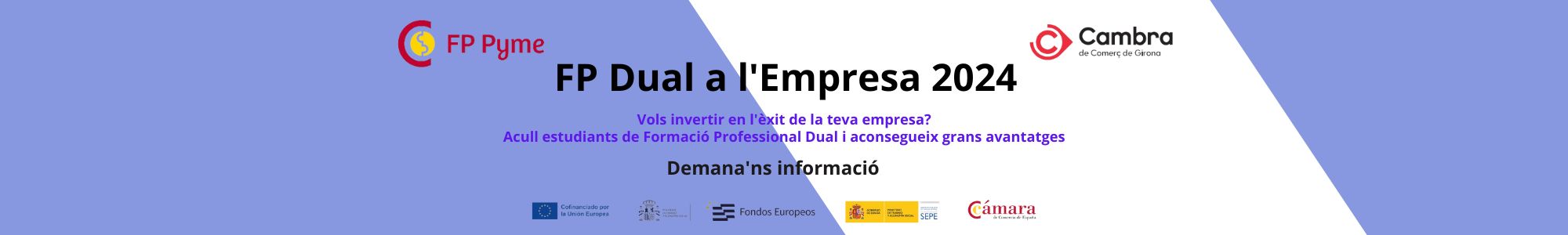 FPD-Empreses-20x3_5